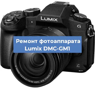 Замена системной платы на фотоаппарате Lumix DMC-GM1 в Белгороде